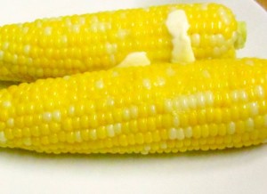 Microwave corn on the cob - Delicious fresh corn without the boiling water and the fuss! www.inhabitedkitchen.com