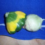 Vegetables From Space!!!