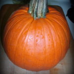Pumpkin, and Planning Thanksgiving