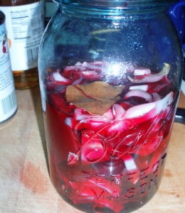 Beets and endive in jar - Inhabited Kitchen