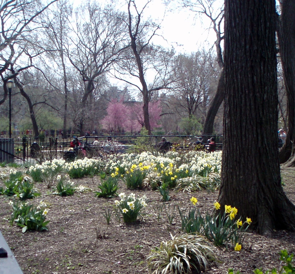 Spring in New York