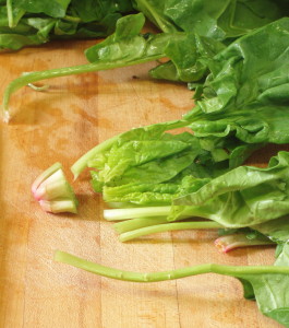 Chopping spinach - www.inhabitedkitchen.com