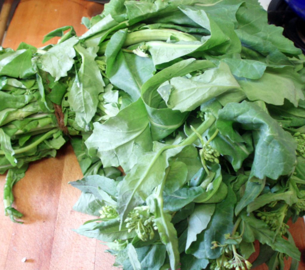 Broccoli Rabe