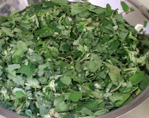 Greens in sink - www.inhabitedkitchen.com