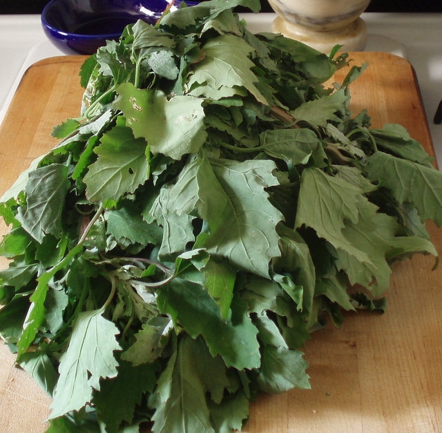 Lamb's Quarters and How to Cook Greens Inhabited Kitchen