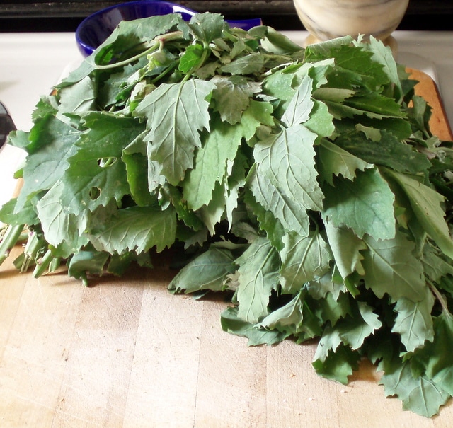 Lamb's Quarters - www.inhabitedkitchen.com