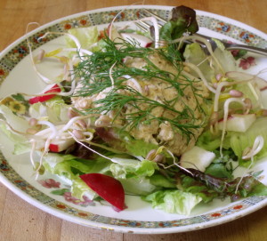 Lunch - salmon salad
