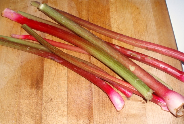 Rhubarb - www.inhabitedkitchen.com