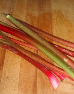 Stalks of rhubarb - www.inhabitedkitchen.com