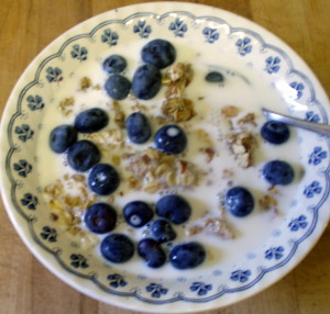Breakfast - granola with blueberries - www.inhabitedkitchen.com