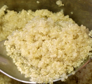 Closeup of Cooked Quinoa - www.inhabitedkitchen.com