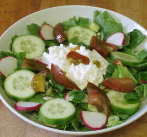 Salad with cottage cheese