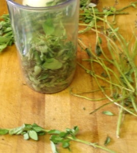 Oregano - www.inhabitedkitchen.com