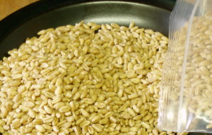 Wheat berries - wwww.inhabitedkitchen.com