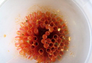 Juice poured into straws - www.inhabitedkitchen.com