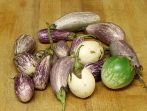 Baby Eggplant - www.inhabitedkitchen.com