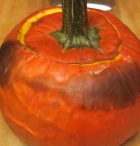 Roast stuffed pumpkin - www.inhabitedkitchen.com