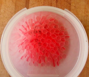 Straws in mild - www.inhabitedkitchen.com