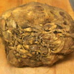 Celery Root