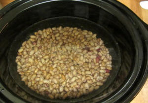 Raw Roman beans soaking - www.inhabitedkitchen.com