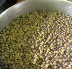 Pot of lentils - www.inhabitedkitchen.com