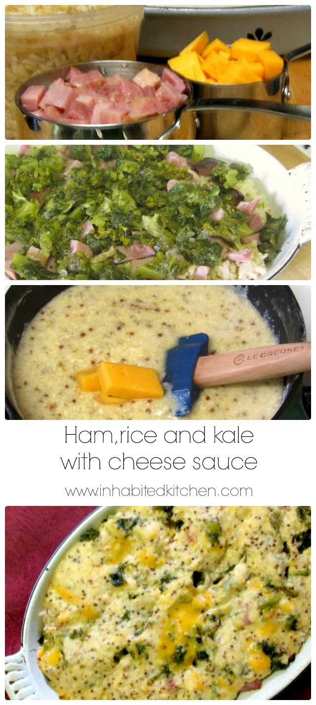 A ham and cheese casserole, with kale, bound together with an easy cheese sauce. www.inhabitedkitchen.com