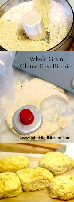 Tender delicate gluten free biscuits- all whole grain, no added starch or gum. www.inhabitedkitchen.com