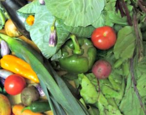 September - CSA - www.inhabitedkitchen.com