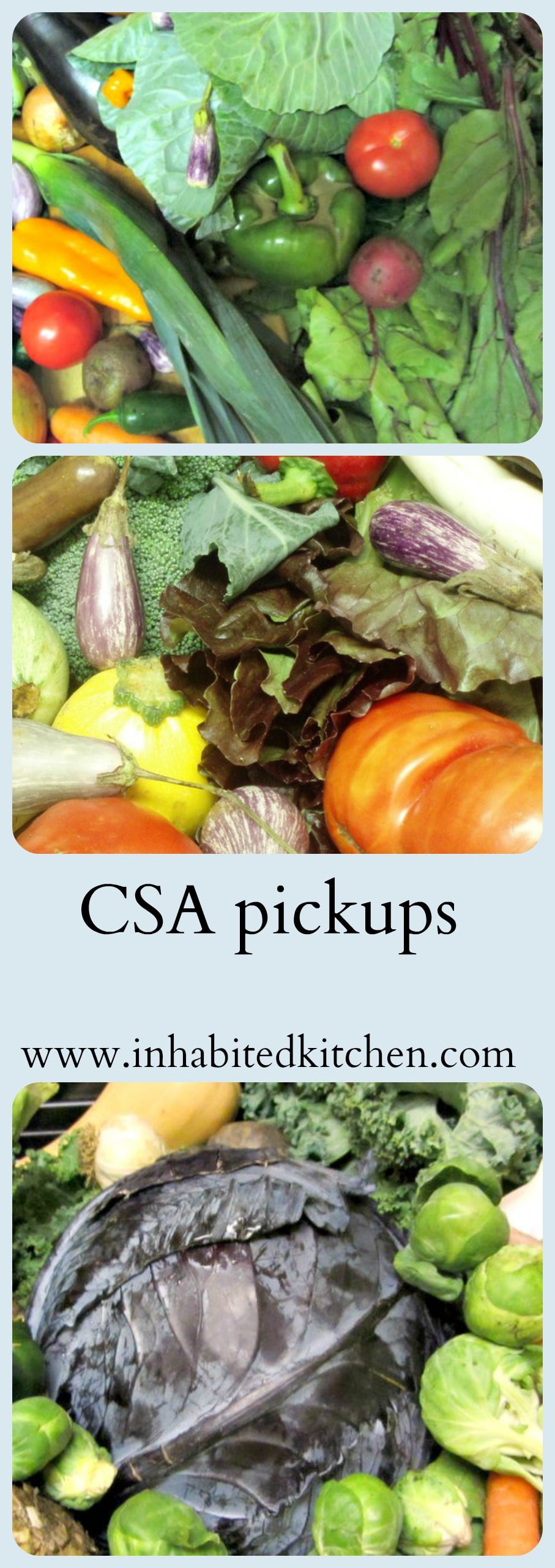 An sampling of CSA shares - CSA - www.inhabitedkitchen.com