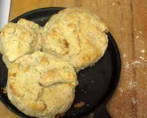 A tender delicate gluten free biscuit - all whole grain, no added starch. www.inhabitedkitchen.com