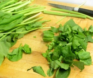 The bright, sour lemon flavor of sorrel makes it a perfect accent to plain fish or meat. www.inhabitedkitchen.com