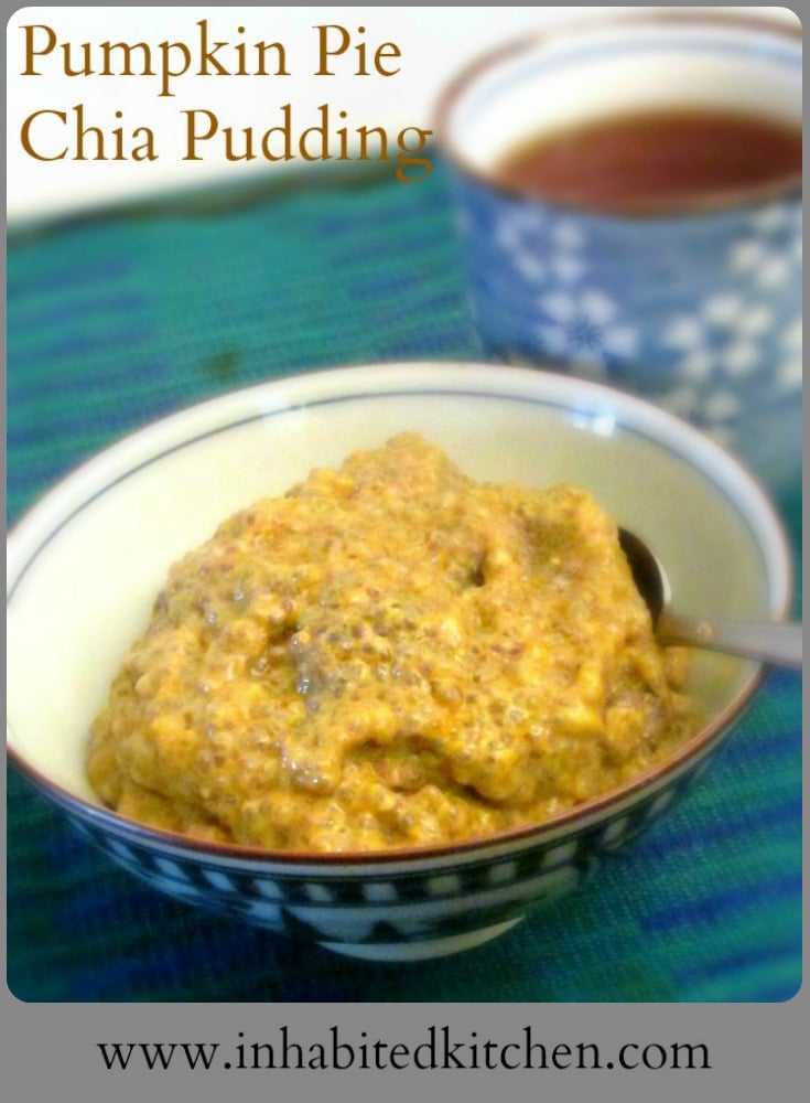 Make this Pumpkin Pie Chia Pudding - so much faster and easier to make than pie, but delicious! A wonderful weeknight dessert.