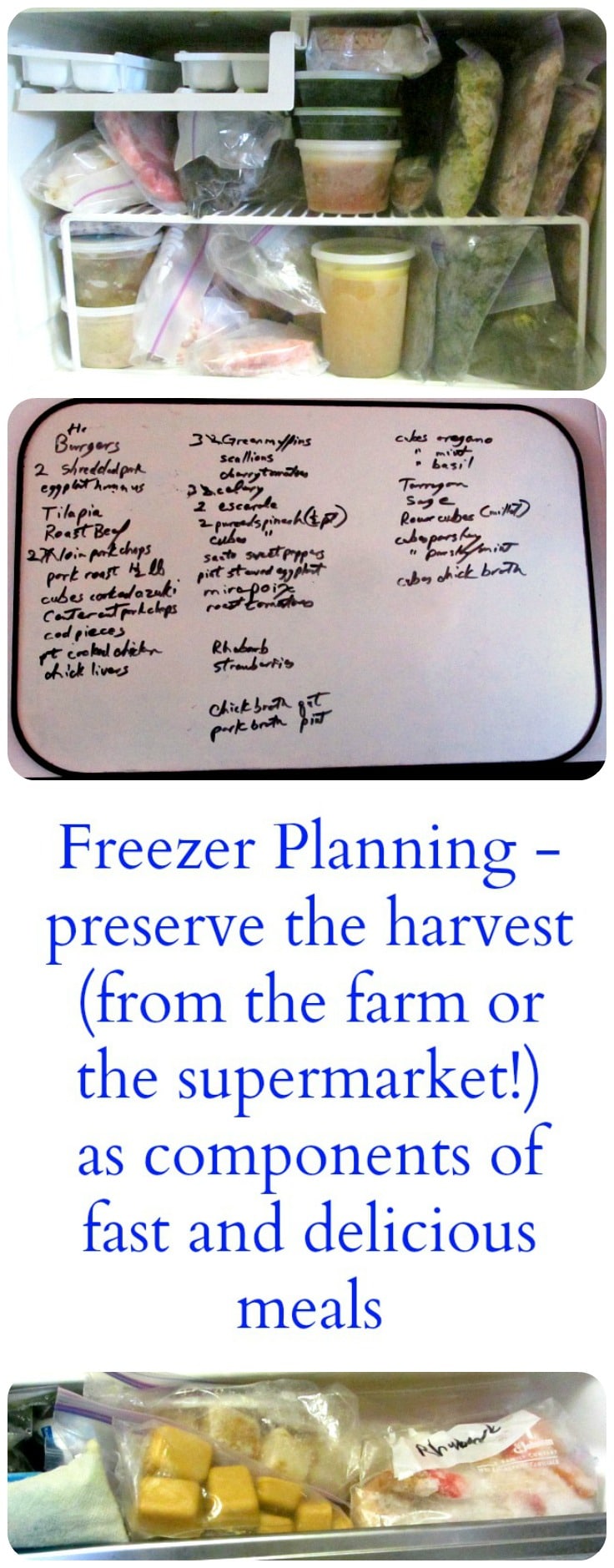 Freezer Planning - a freezer stocked with vegetables and meat (cooked or not) makes meal preparation easy.