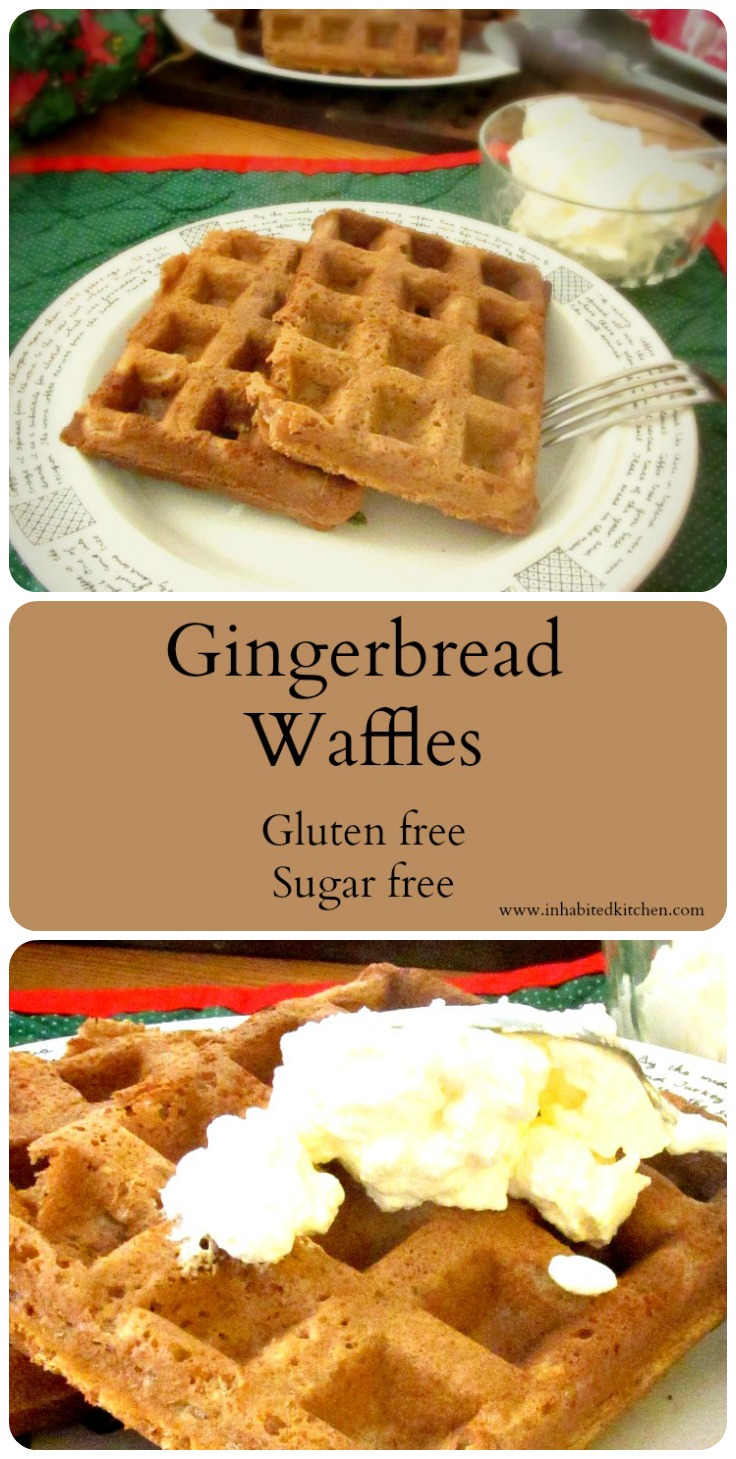 Gingerbread waffles - gluten free, sugar free, but light and crisp, with the warm aroma of the gingerbread spice blend. 