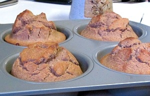 Gluten Free Gingerbread Muffins - sugar free, also, with a touch of sweetness from apples and tang from teff flour. 