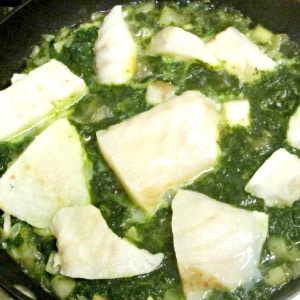 Spinach braised cod - chunks of firm white fish braised in pureed spinach, for a fast, easy, and delicious meal. 