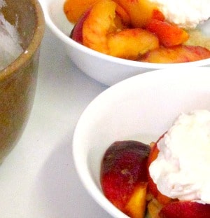 Sugar Free Peach Shortcake - 2015 in review - The best of the last year, and plans for the new. 