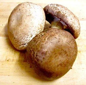 Parsley Stuffed Portobellos - a gluten free stuffed mushroom. Easy and delicious, perfect for entertaining! 