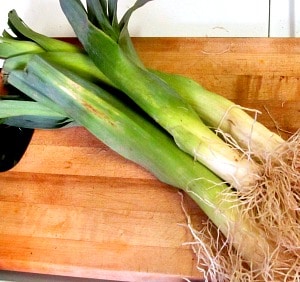 Over wintered leeks with chicken - some of the first fresh vegetables of Spring, served with mild white chicken for a quick and delightful dinner!