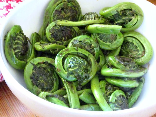 Fiddlehead Ferns