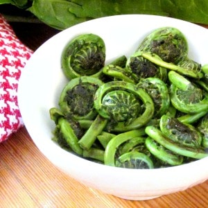 Fiddleheads - the edible and delicious unopened fronds of a wild fern. Harvested for a few short weeks in late Spring, they are sold in farmer's markets.