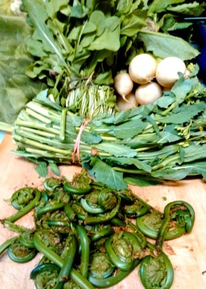 Fiddleheads - the edible and delicious unopened fronds of a wild fern. Harvested for a few short weeks in late Spring, they are sold in farmer's markets.