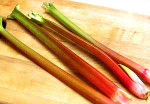 Rhubarb Fruit Sauce is a sour/sweet, brightly flavored condiment. Use with either sweet or savory foods, to add sparkle and interest. 