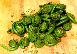 Fiddleheads - the edible and delicious unopened fronds of a wild fern. Harvested for a few short weeks in late Spring, they are sold in farmer's markets.