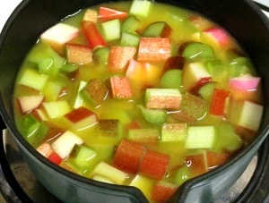 Rhubarb Fruit Sauce is a sour/sweet, brightly flavored condiment. Use with either sweet or savory foods, to add sparkle and interest. 