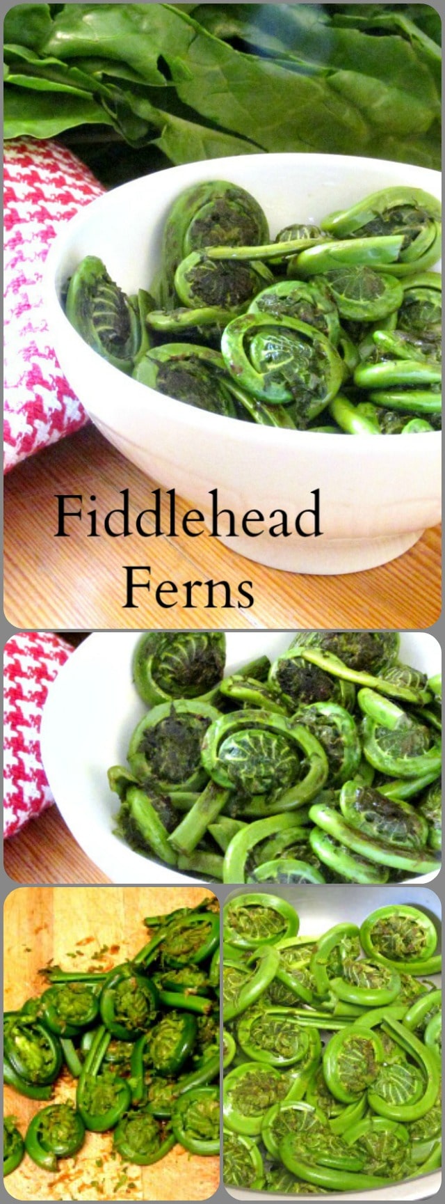 Fiddleheads - the edible and delicious unopened fronds of a wild fern. Harvested for a few short weeks in late Spring, they are sold in farmer's markets.