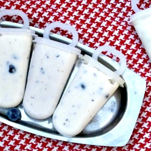 Dairy free but creamy, sugar free but sweet, these coconut blueberry sugarfree popsicles make a delightfully icy treat on a hot day.