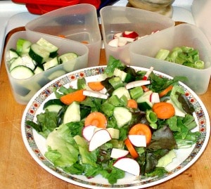 Do you need to make a packed lunch, for yourself or a family member? Here is a collection of ideas, and useful recipes - to make the process easier! 