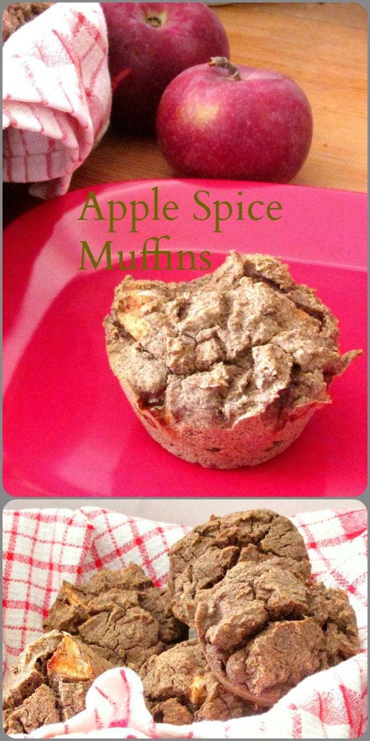 Gluten Free Apple Spice Muffins, hearty with buckwheat flour, are a wonderful way to welcome the first chilly weather!