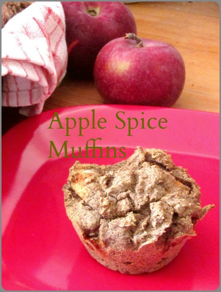 Gluten Free Apple Spice Muffins, hearty with buckwheat flour, are a wonderful way to welcome the first chilly weather!